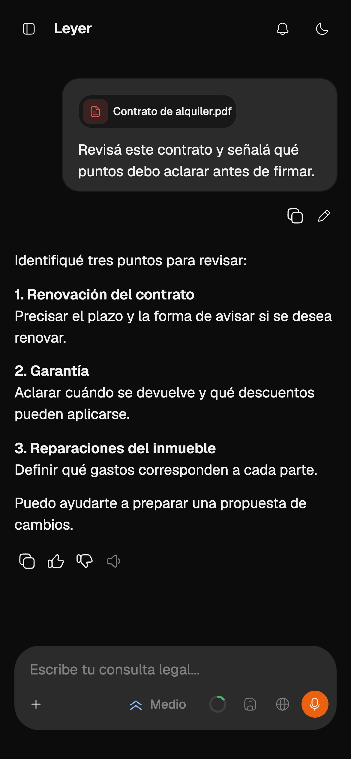 Captura del análisis de un documento adjuntado en Leyer